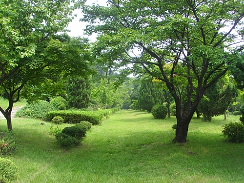 충렬문 앞의 나무숲. 바라보기만 해도 마음이 편안해지는 곳입니다. 